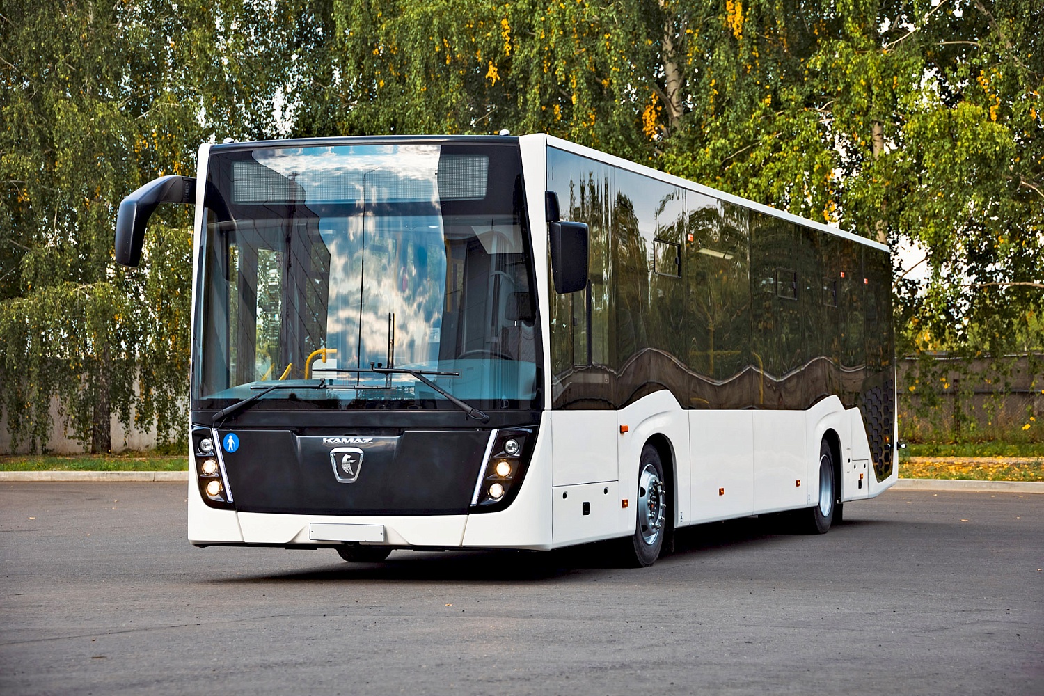 Автобус НЕФАЗ-5299-0000031-52